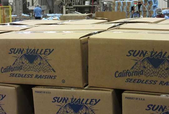 美国葡萄干公司Sun Valley的无籽葡萄干产品