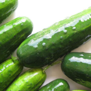 蔬菜腌菜、醋渍小黄瓜分选