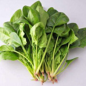 菠菜分选
