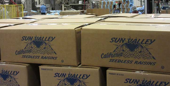 美国葡萄干公司Sun Valley的无籽葡萄干产品