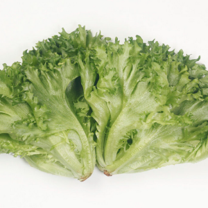 生菜分选