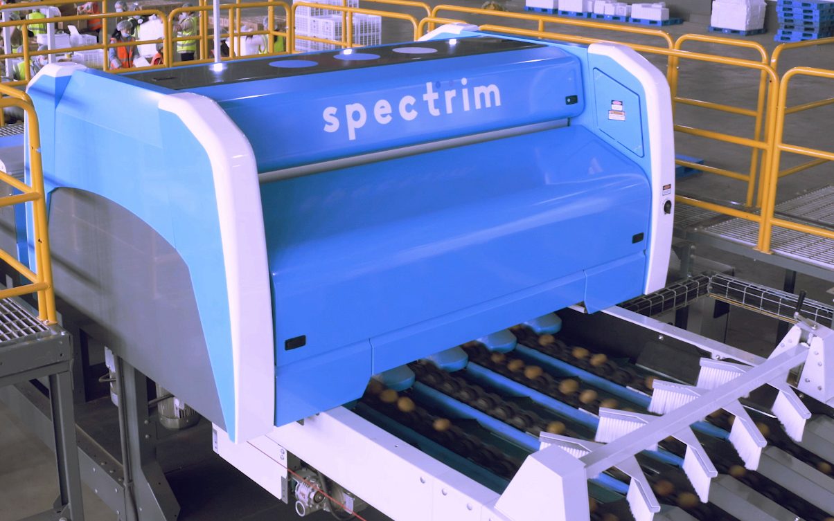 猕猴桃外观品质检测 Spectrim在对猕猴桃进行外观品质检测