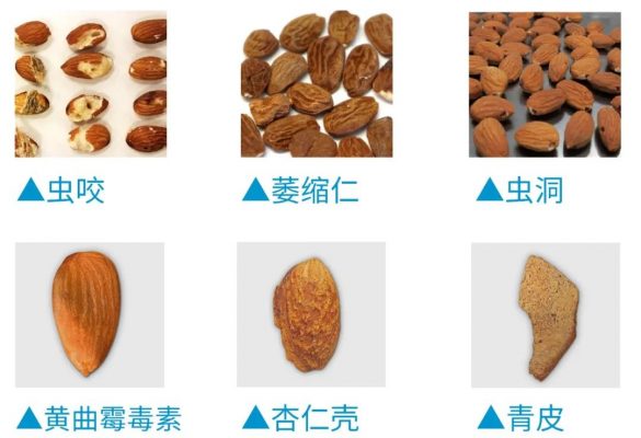 含霉变、过敏原、出油、虫咬、机械伤等不良品