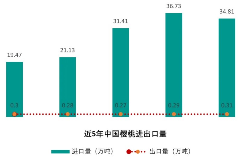 近五年,中国樱桃的进口量持续高速增长