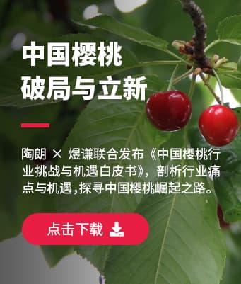 下载《中国樱桃行业挑战与机遇白皮书》